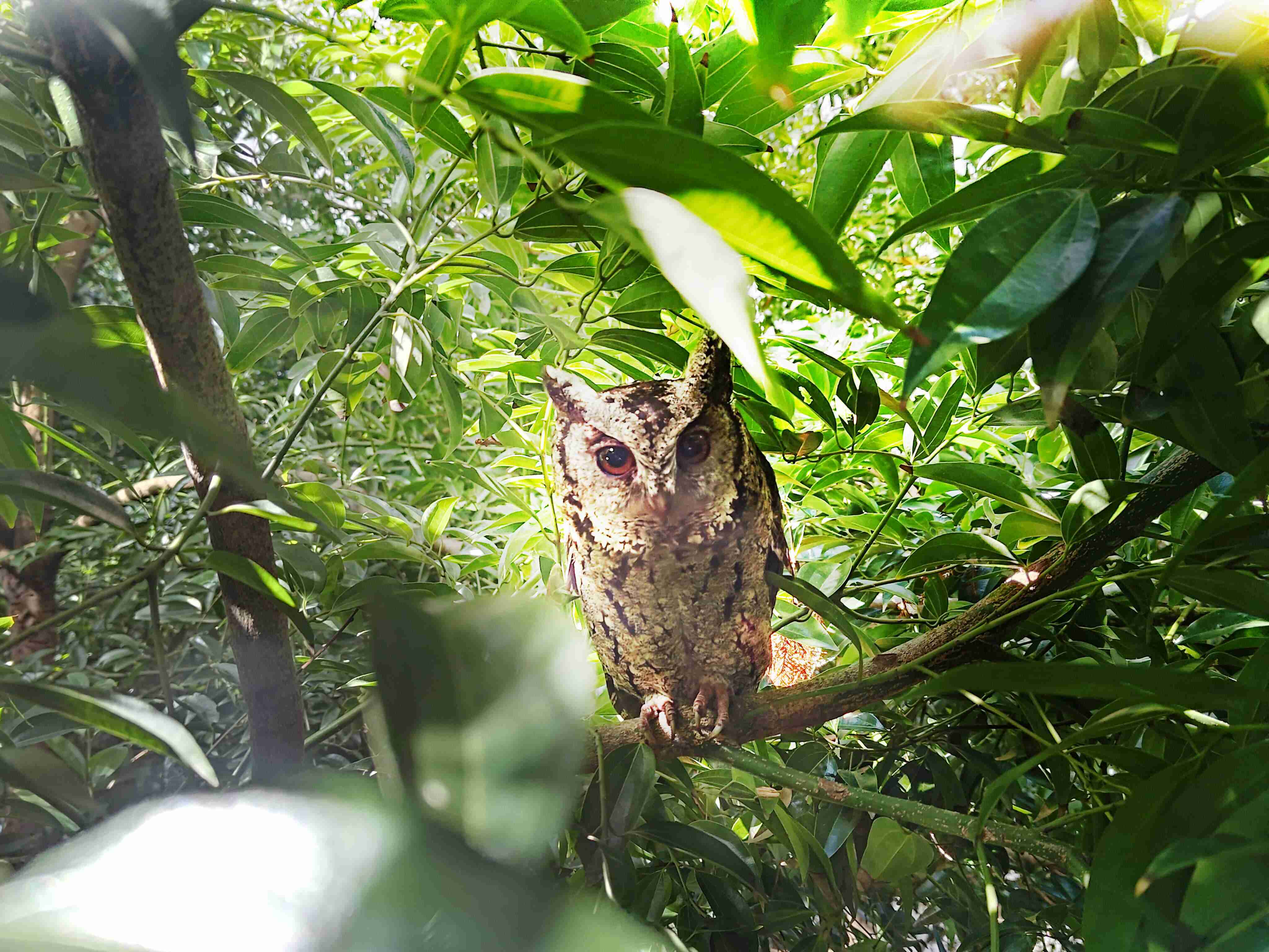 尊龙集团致力提倡净零绿生活，，，，16年以来在全球各厂区植树逾百万棵，，造就各厂区树木蔚然成林，，，犹如森林工厂，，成为许多生物的栖息地